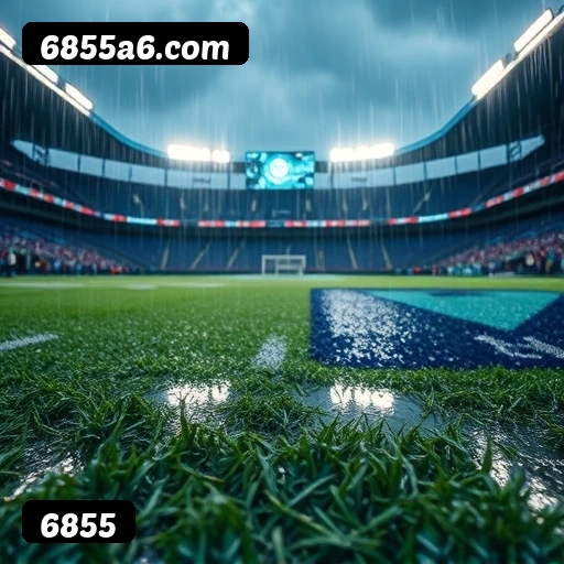 6 vantagens exclusivas do programa VIP da 6855